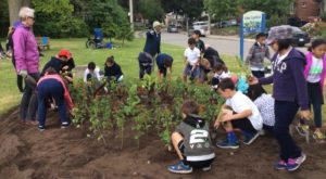 Leaside Grade 3 Students Planting at Trace Manes Park