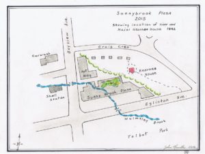 Sunnybrook plaza map 2015
