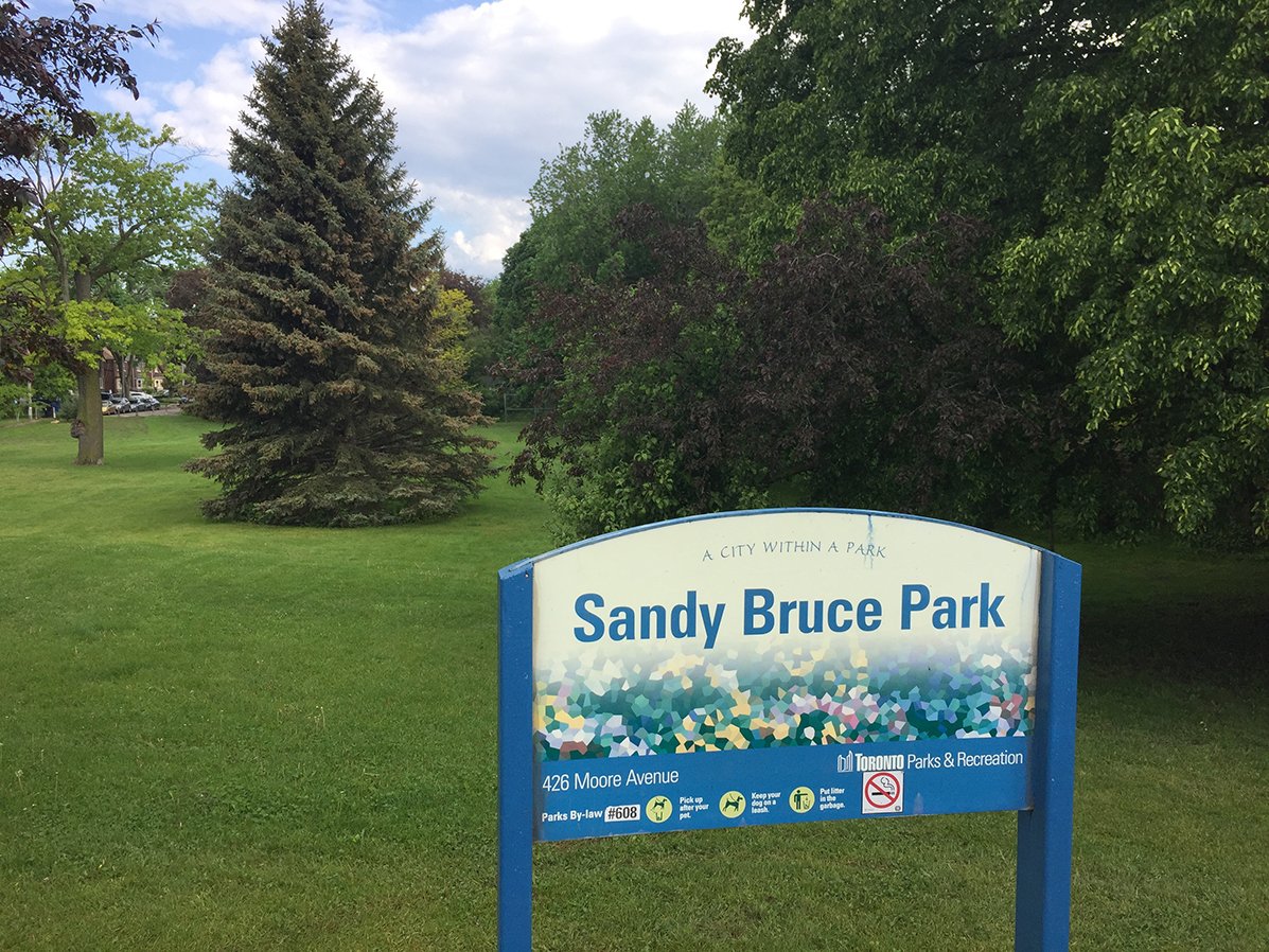 Sandy Bruce Park today. 