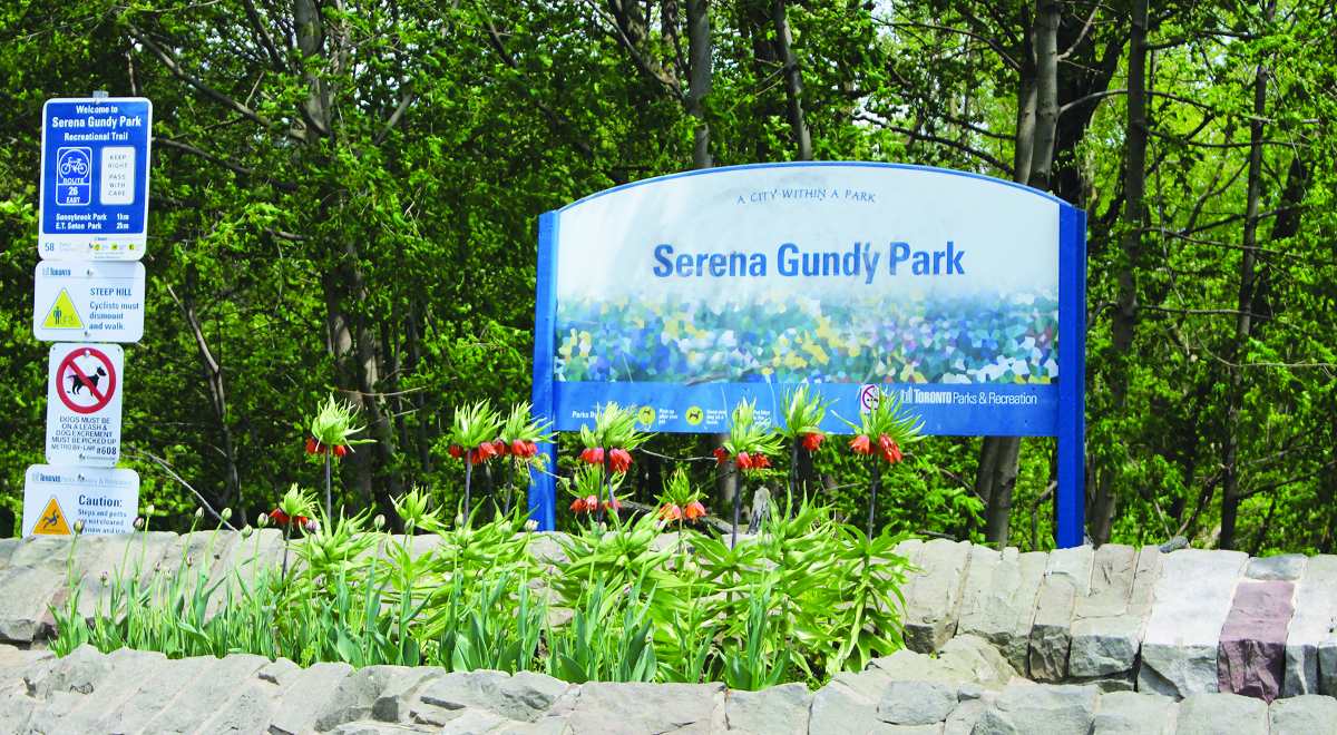 Serena Gundy Park Sign Photo. Photo By Robin Dickie.