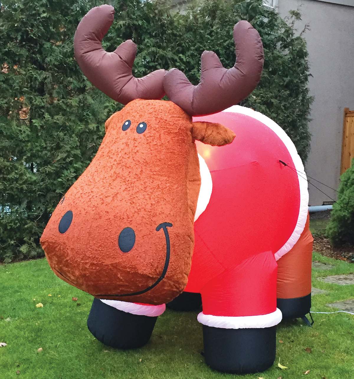 Inflatable moose on lawn. Photo By Robin Dickie.