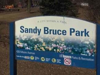Sandy Bruce Park. | Staff Photo.