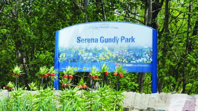 Serena Gundy Park Sign Photo. Photo By Robin Dickie.