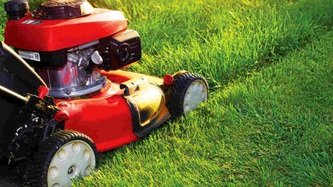 Lawnmower. Shutterstock.