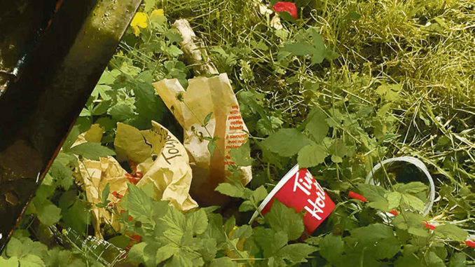 Garbage at Trace Manes Park. Photo by Robin Dickie.