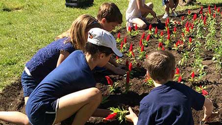As part of their Grade 3 Science curriculum, students from St. Anselm Catholic School plant the flower bed in Father Caulfield Parkette. Photo by Janis Fertuck.