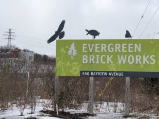 Evergreen Brickworks will host Seedy Sunday March 17, 2019.