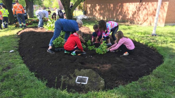 Junior Gardeners did it again!