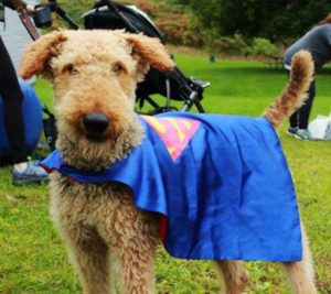 Super hero dog at BIST 5k.