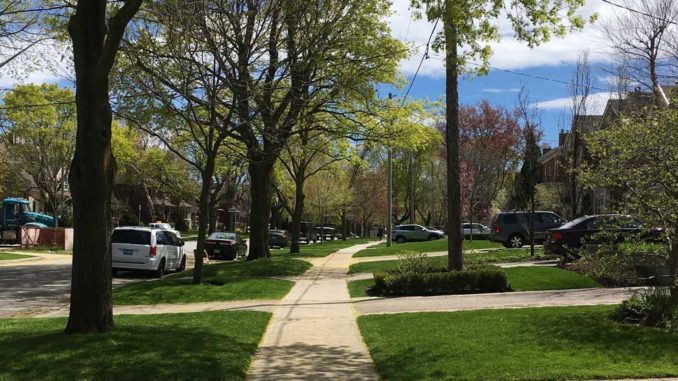 A sidewalk in Leaside. Staff photo.