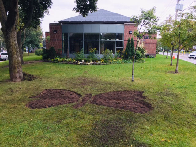 The Butterfly Garden starts to take shape. Photo Rick Hutchings.