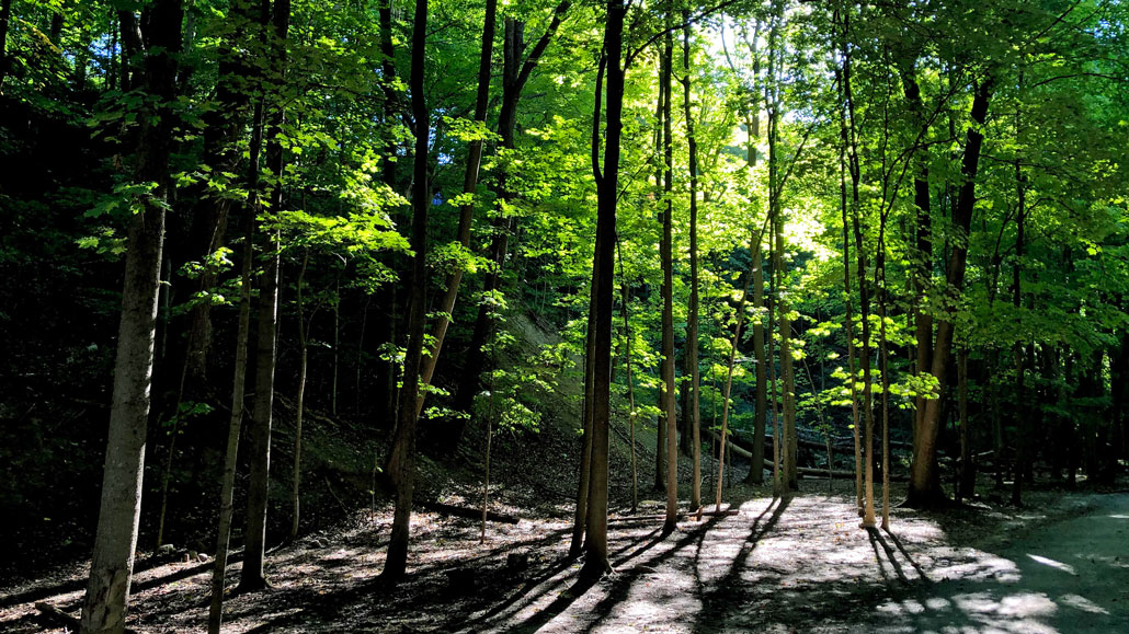 Mud Creek Ravine. Staff Photo.