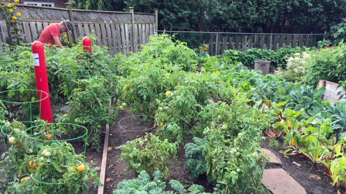 St. Cuthbert's garden.