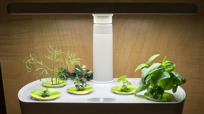 Space age hydroponics!