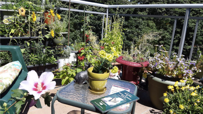 Jean Sugarbroad-Keele is a passion- ate and dedicated balcony gardener whose Leaside condo terrace is a true pollinator paradise. Photo Jean Sugarbroad-Keele.