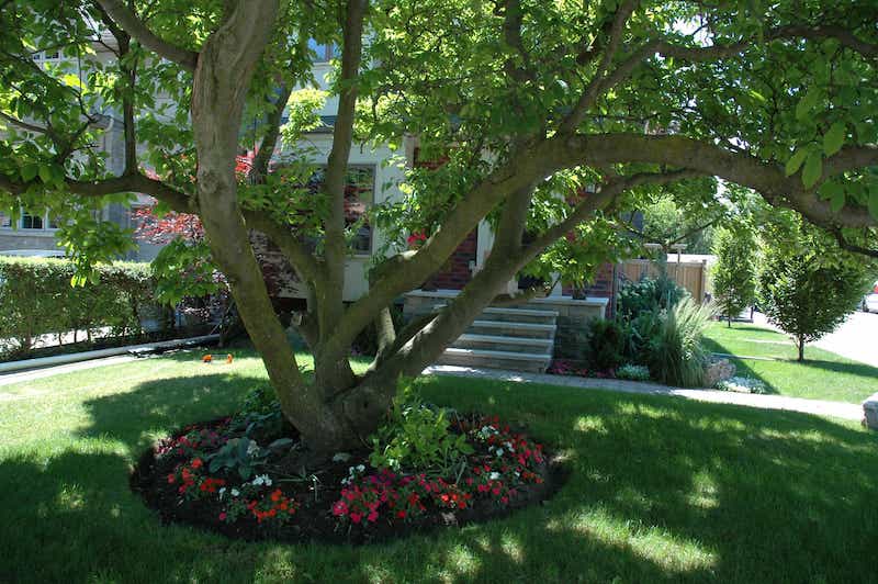 The Garden Of Distinction at 298 Laird Drive