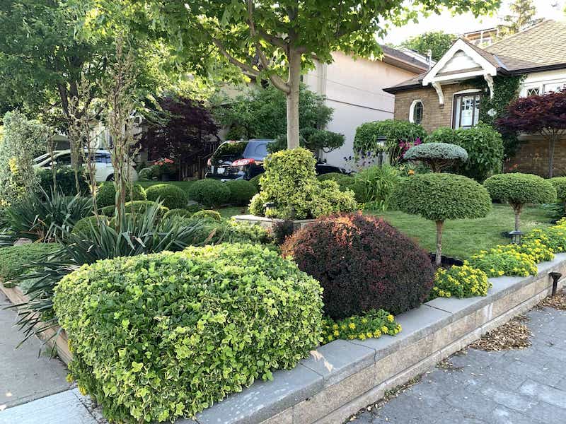 Honourable mention to the "Garden of Distinction" at 102 Leacrest Road