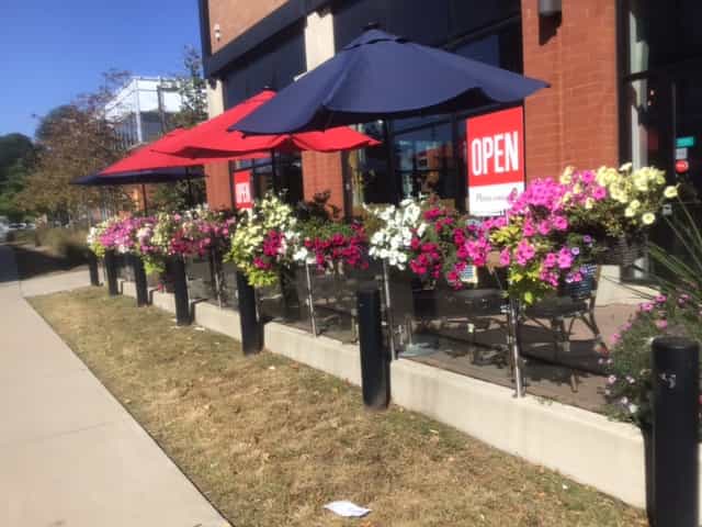 The beautiful plantings at the Aroma Espresso Bar in the Longo’s Plaza.