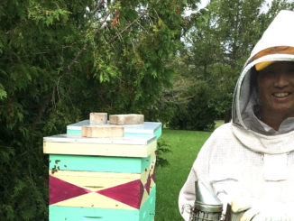 Julia Edey at work beekeeping.