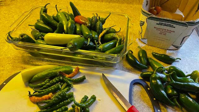 Though Tim’s harvest was not as bountiful this year, he was still able to produce enough to pickle and preserve for the long winter months ahead.