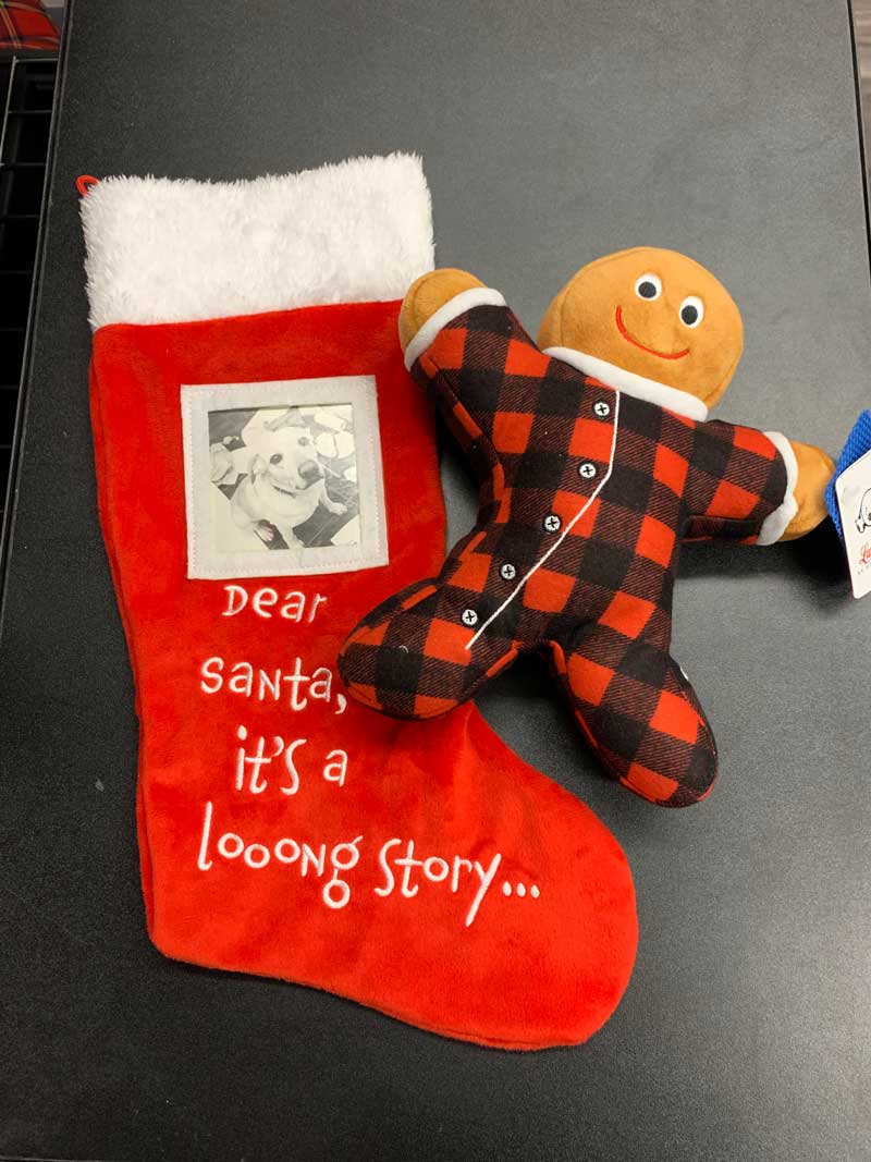 Photo of a stuffed gingerbread man beside a stocking.