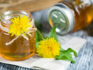 A photo of a jar of dandelion jam with a dandelion adorning it.