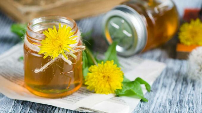 A photo of a jar of dandelion jam with a dandelion adorning it.
