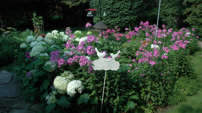 A beautiful garden from a member of the Leaside Garden Society.