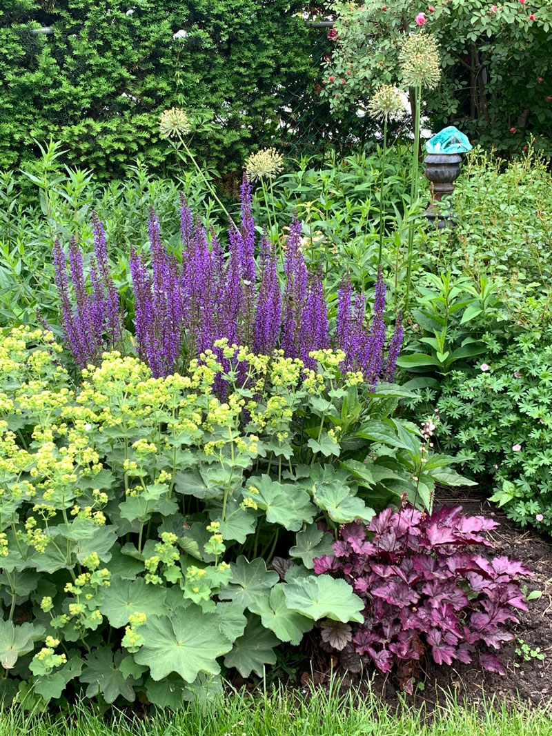 A backyard pollinator garden created by Carolyn Spoore – photo by Karen Keay.