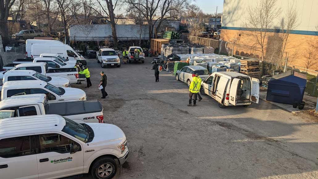 Busy yard in the morning — photo by Michael Chudy.