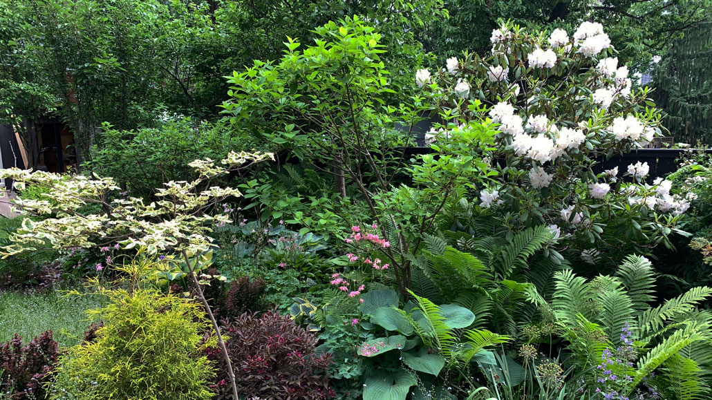 A lush perennial garden created by Laura Pisko and Don Warrington - photo by Karen Keay.