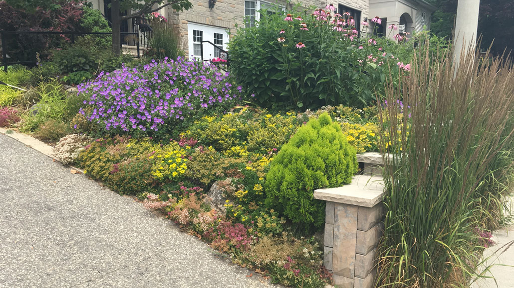 The young garden is bursting with beauty and nectar – photo Debora Kuchme.