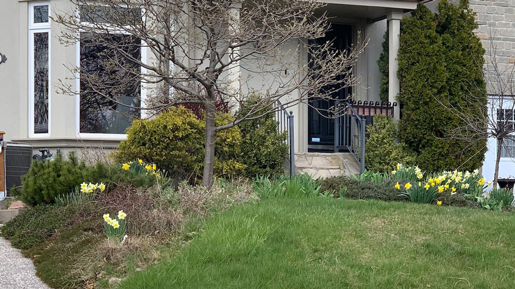 The front garden in the spring of 2020 – photo by Karen Keay