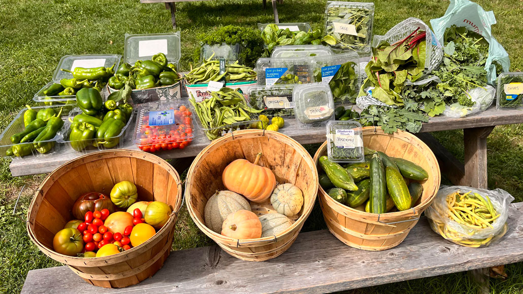 A garden bounty from St. Cuthbert's.