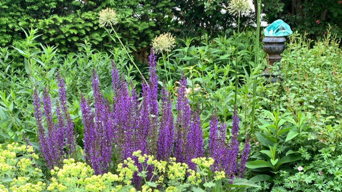 There was a lot of good gardening going on in Leaside this year.