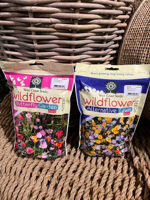 Wildflower and lawn alternative seeds.                                          