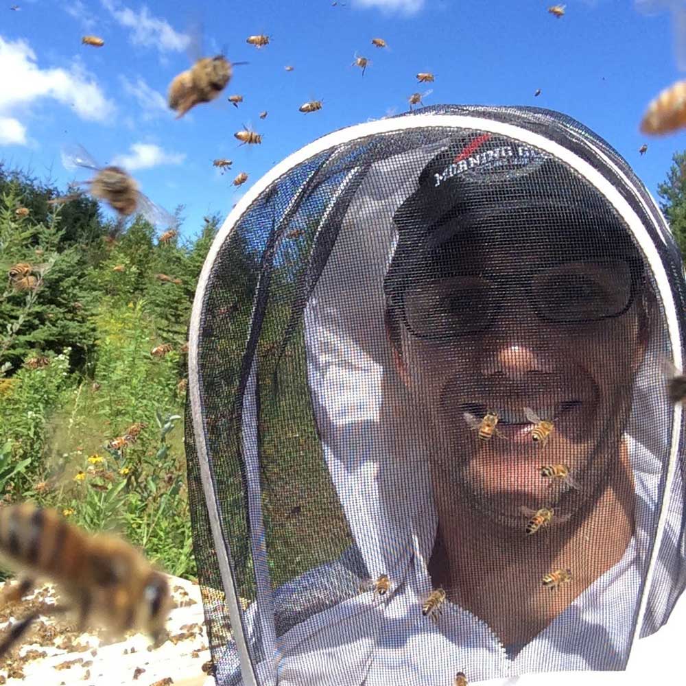 Dr. Tim Marshall, beekeepr and Chiropractor.