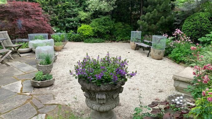 Mediterranean style garden.