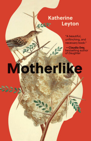 Motherlike is “... creative non-fiction, a memoir of life with a first child.”