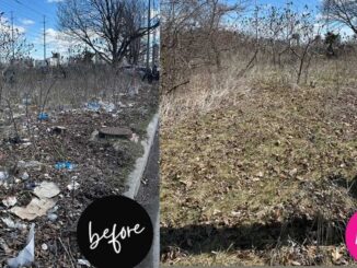 The garbage accumulation on Pat Moore Drive, before and after.